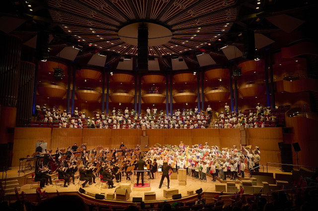 Slideshow Karneval der Gefühle